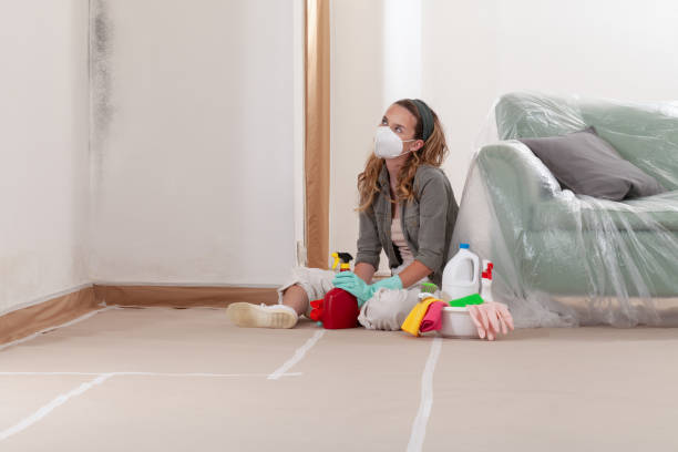 Reliable Black Mold Removal contractor in Great Mills, MD by WQB Mold Removal
